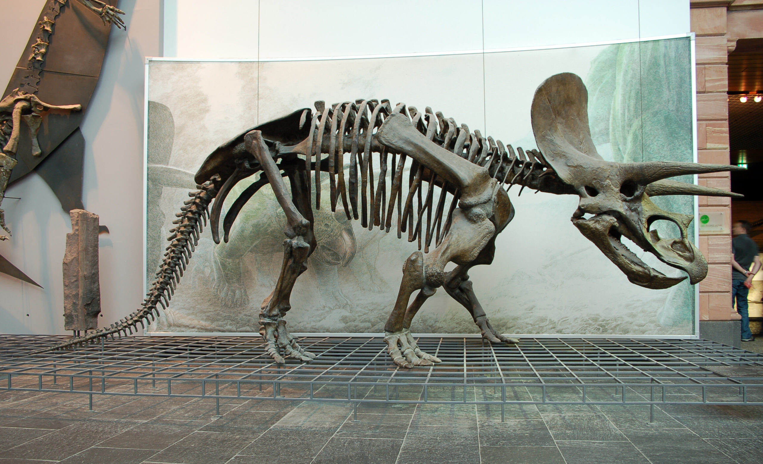 Seed Dispersal: When Dinosaurs Became Gardeners (image credits: wikimedia)