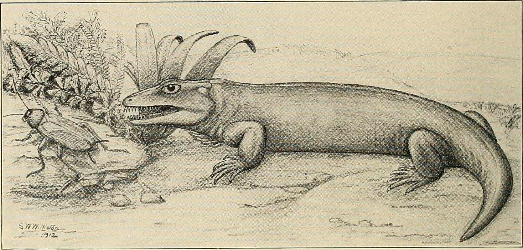 Ancient Reptilian Ancestors: The Foundation (image credits: wikimedia)