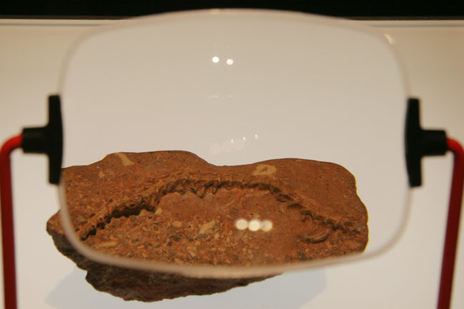 Ongoing Research and New Discoveries (image credits: wikimedia)