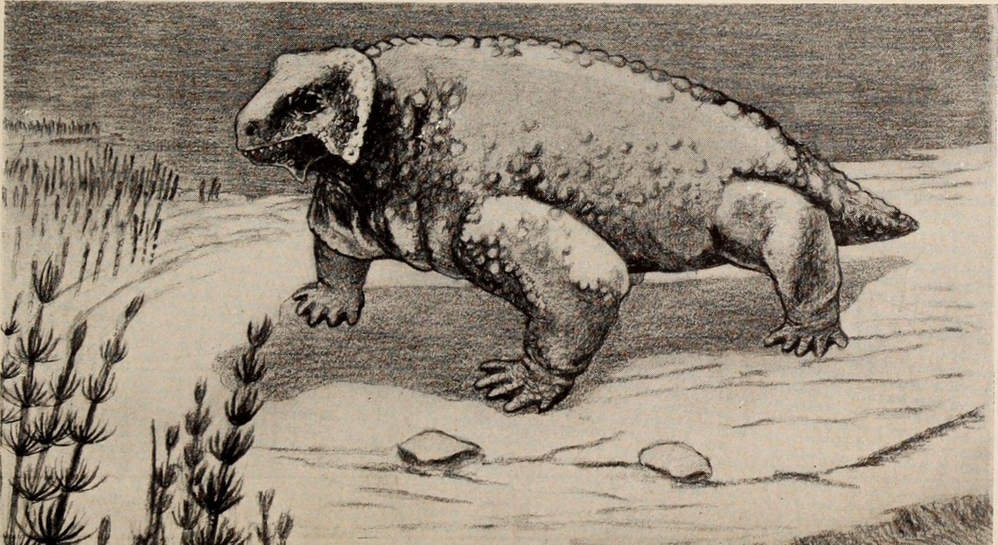 The First Dinosaurs: Humble Beginnings of Future Giants (image credits: wikimedia)