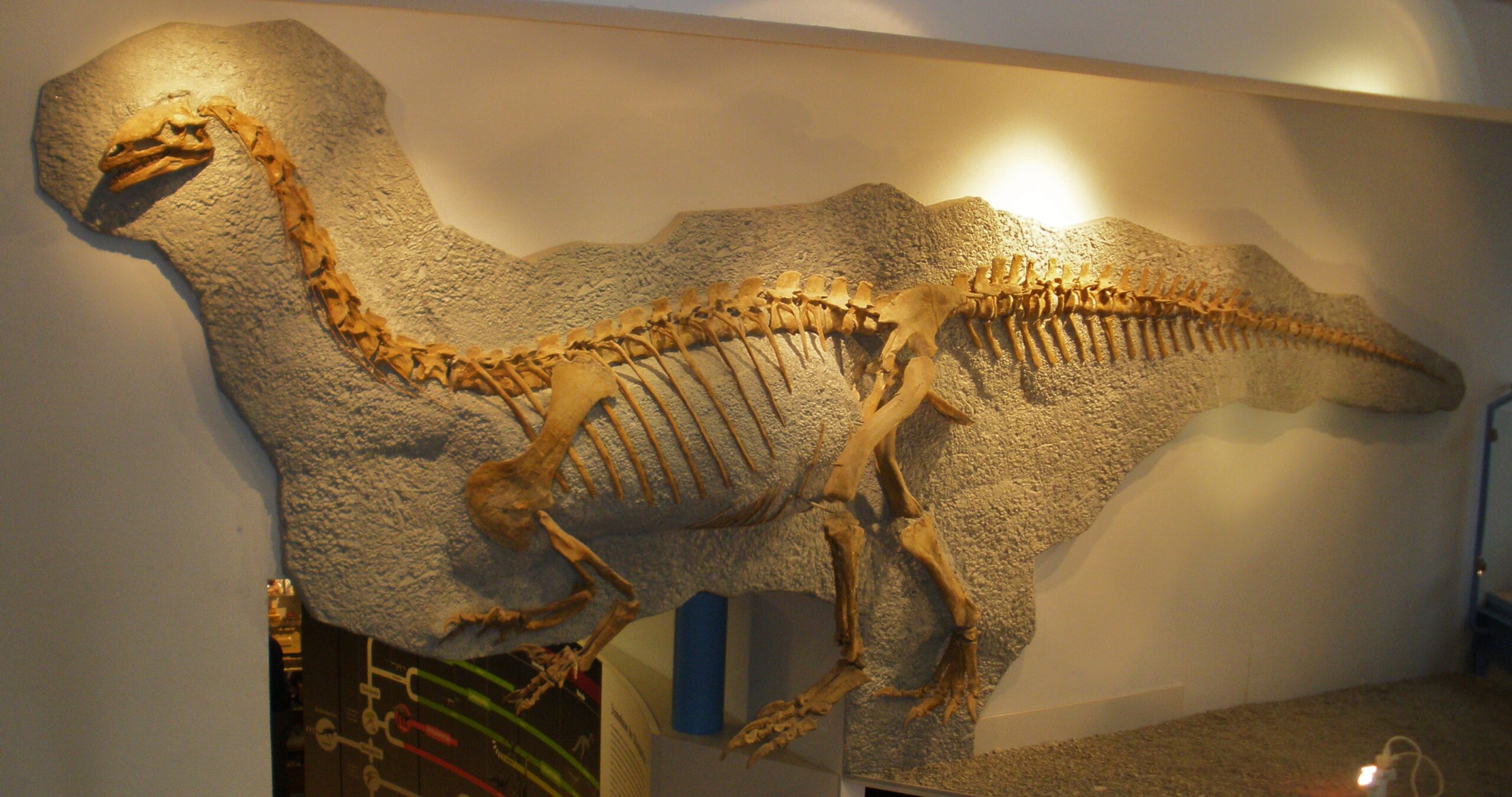 Plateosaurus: The Gentle Giant That Changed Everything (image credits: wikimedia)