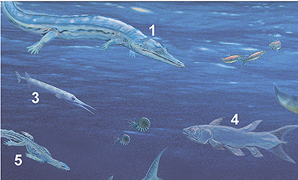 Coelophysis: The Pack Hunter That Rewrote Predator Rules (image credits: wikimedia)