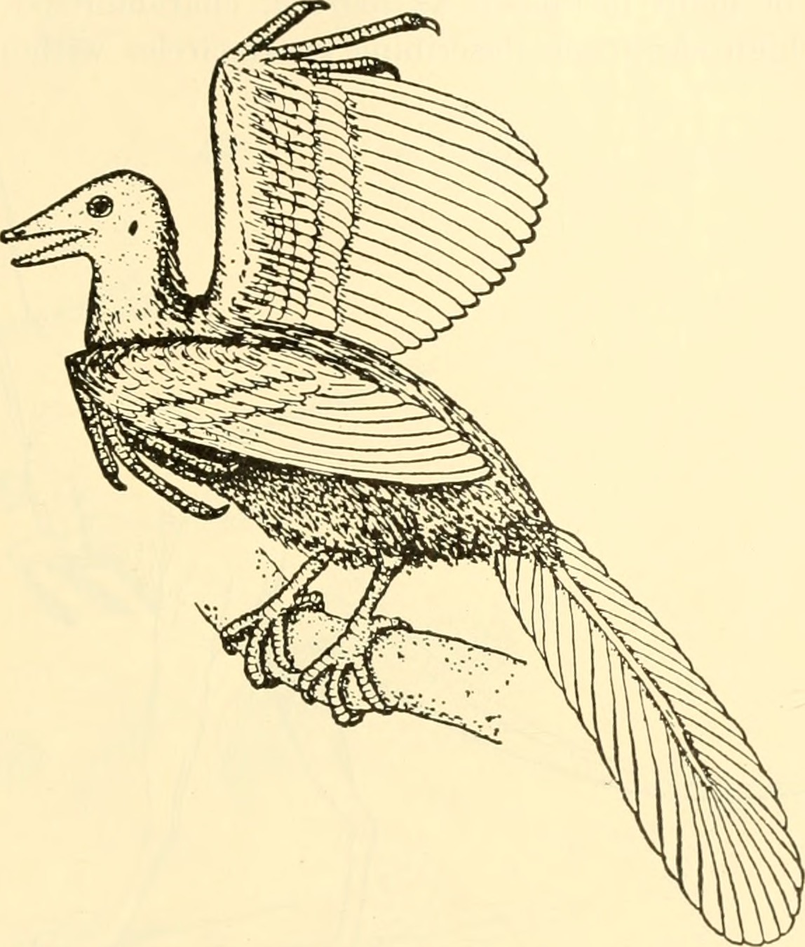 Taking to the Skies: The Birth of Flight (image credits: wikimedia)