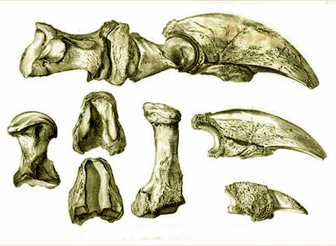 The First Shocking Discovery (image credits: wikimedia)