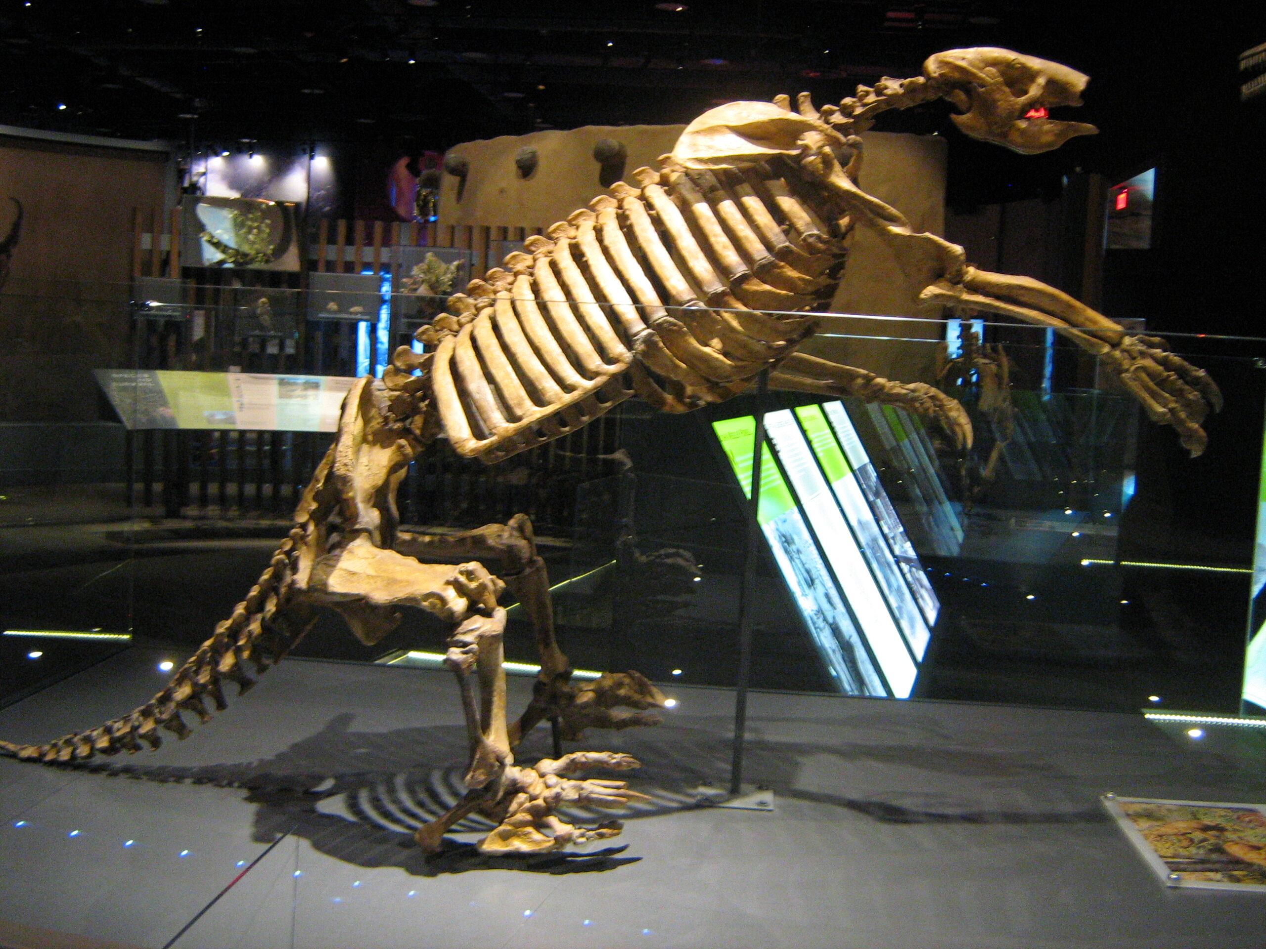 The Tule Springs Revelation (image credits: wikimedia)