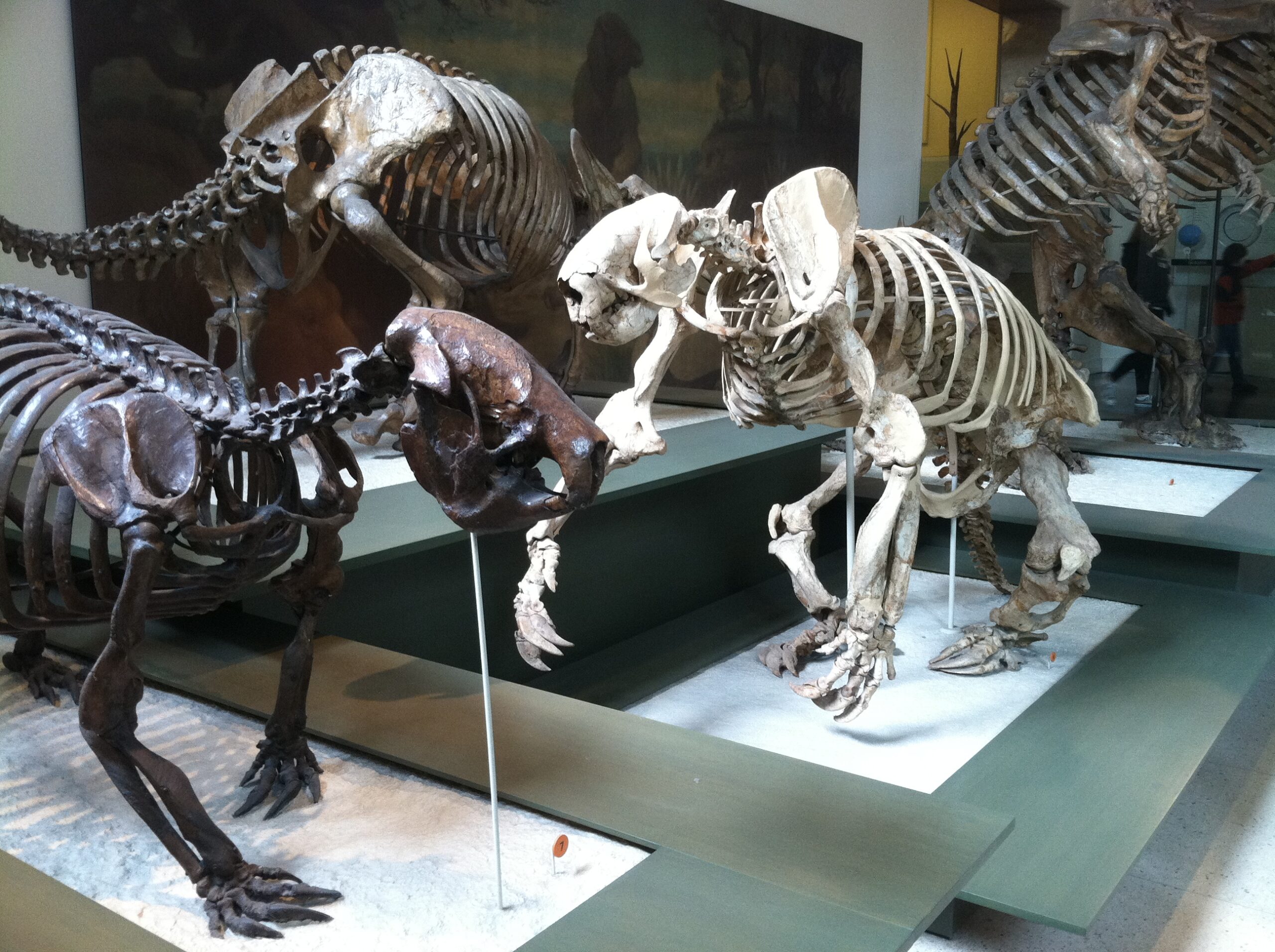 The Human Connection (image credits: wikimedia)