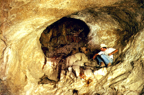 The Packrat Connection (image credits: wikimedia)