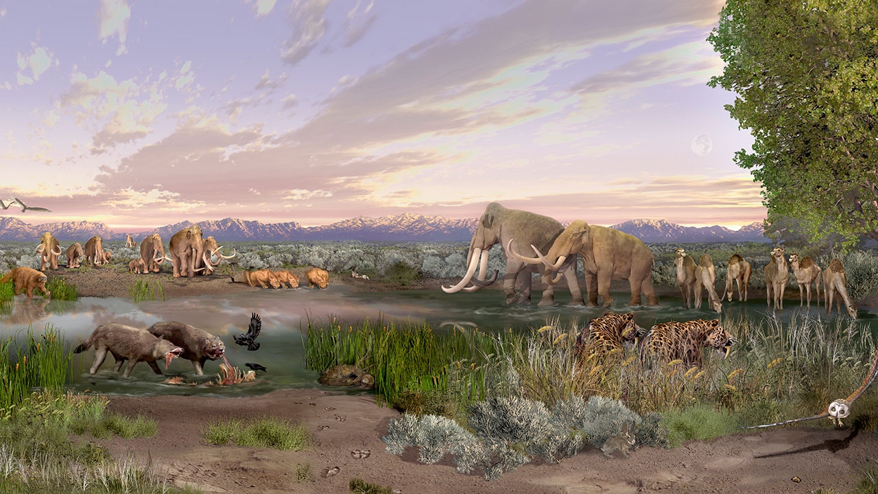 What This Means for America's Past (image credits: wikimedia)