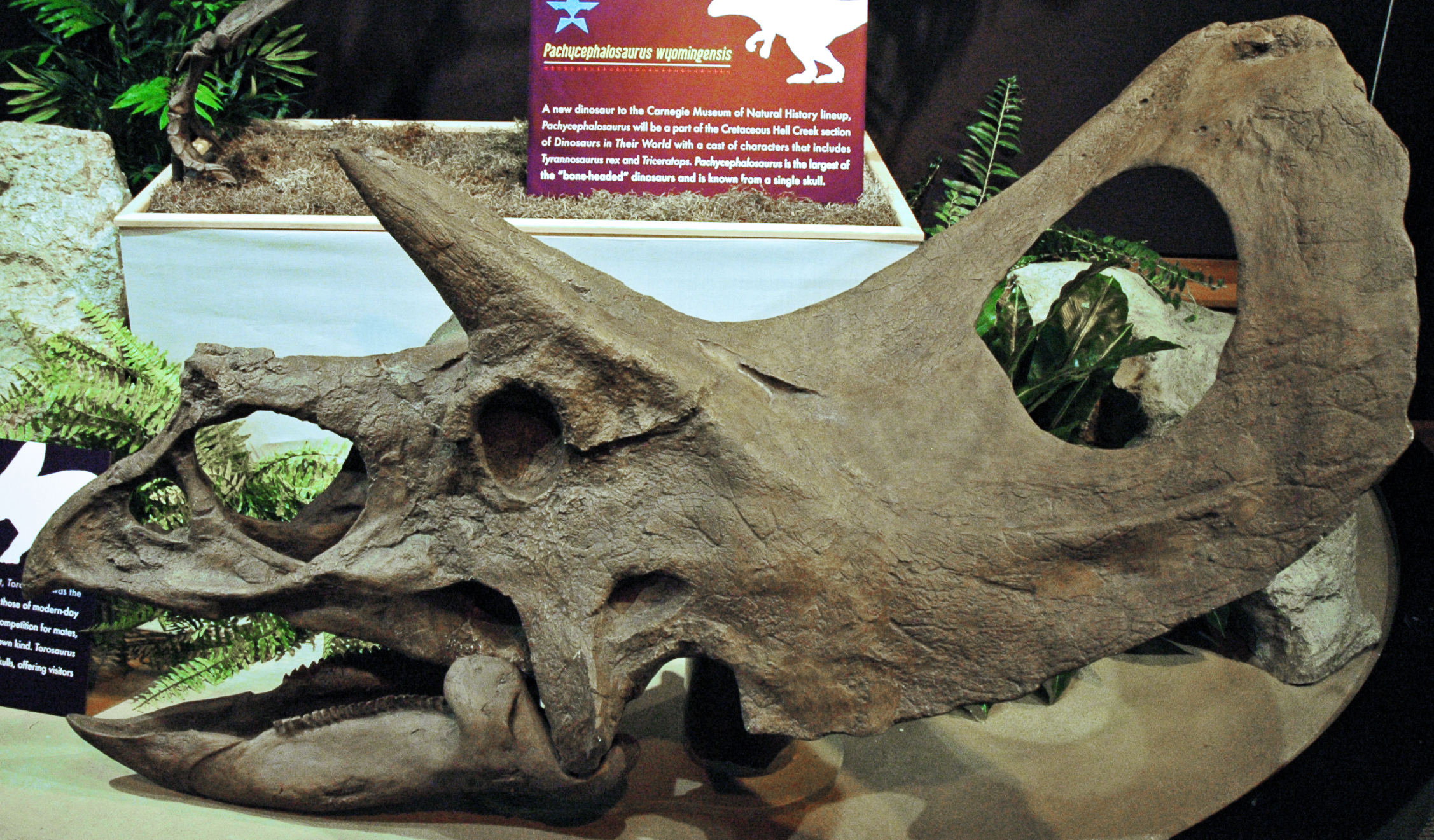 Scientific Corrections Often Buried in Back Pages (image credits: wikimedia)