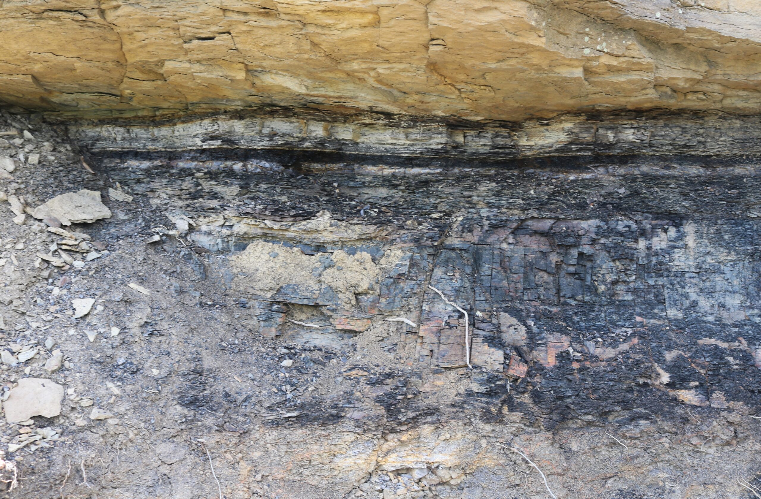 Evidence Written in Stone (image credits: wikimedia)