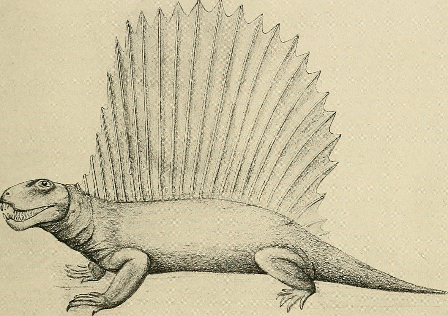 Competition in Ancient Seas (image credits: wikimedia)