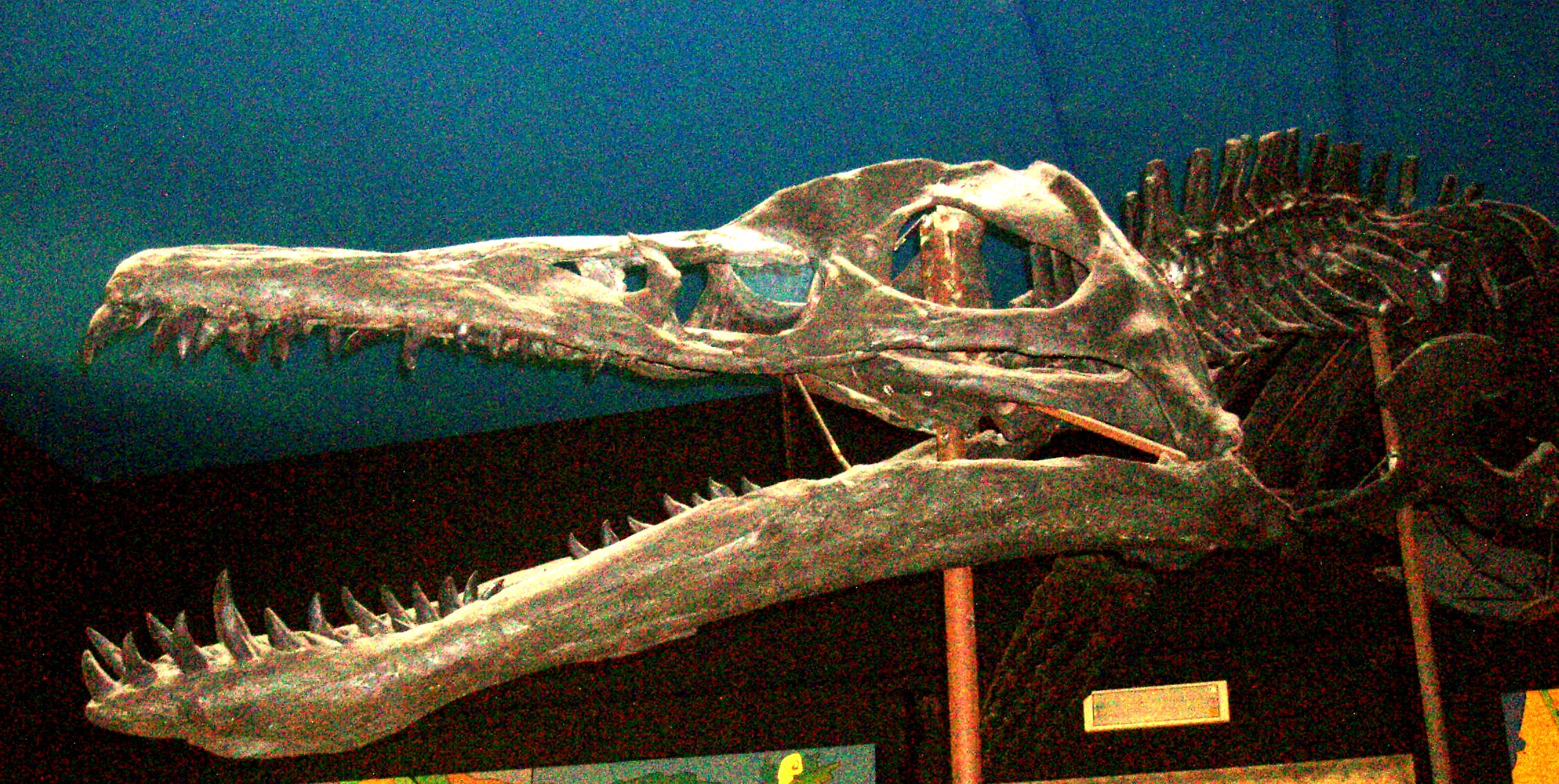 The Science Behind the Monster (image credits: wikimedia)