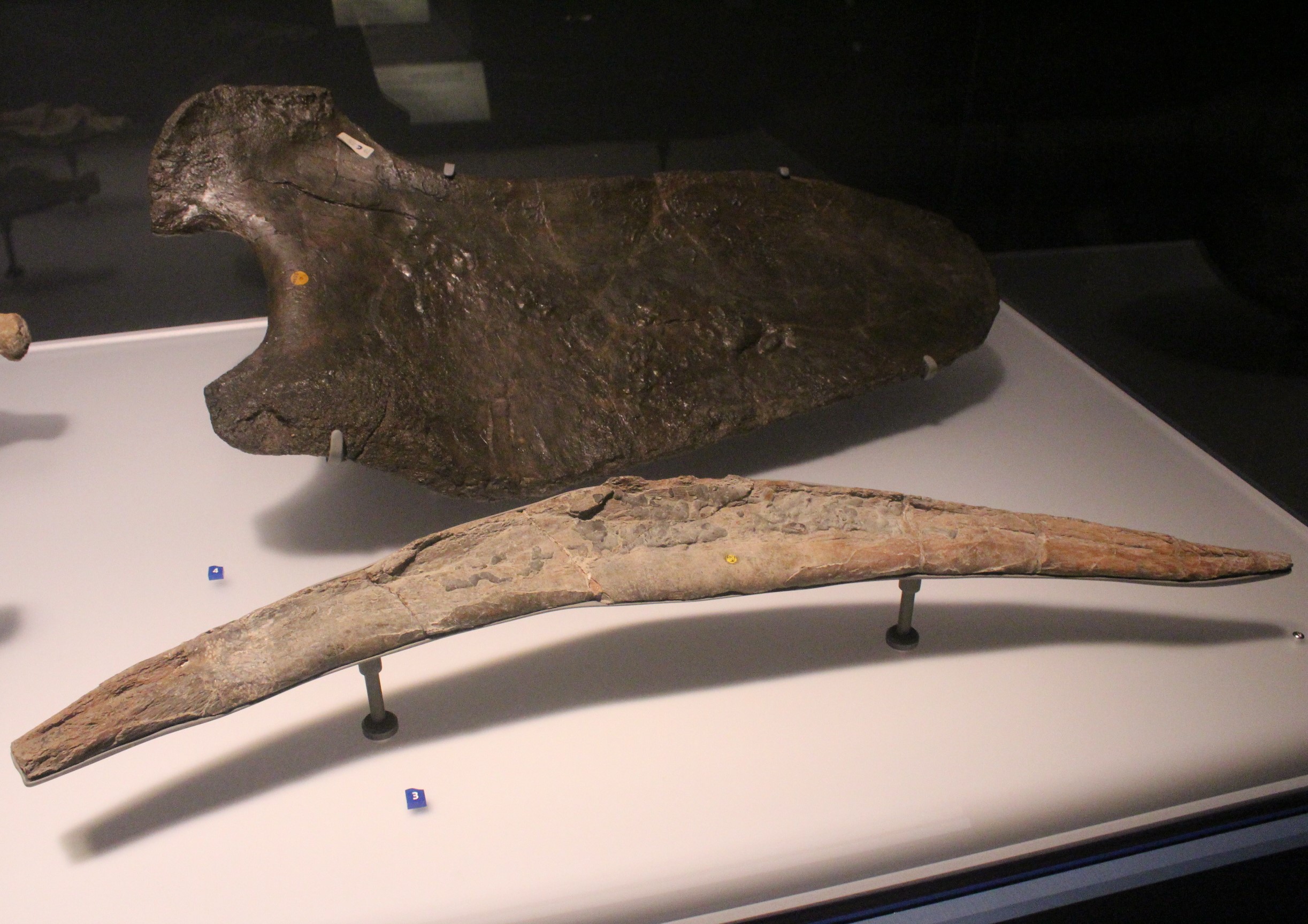 Modern Discoveries and Future Research (image credits: wikimedia)