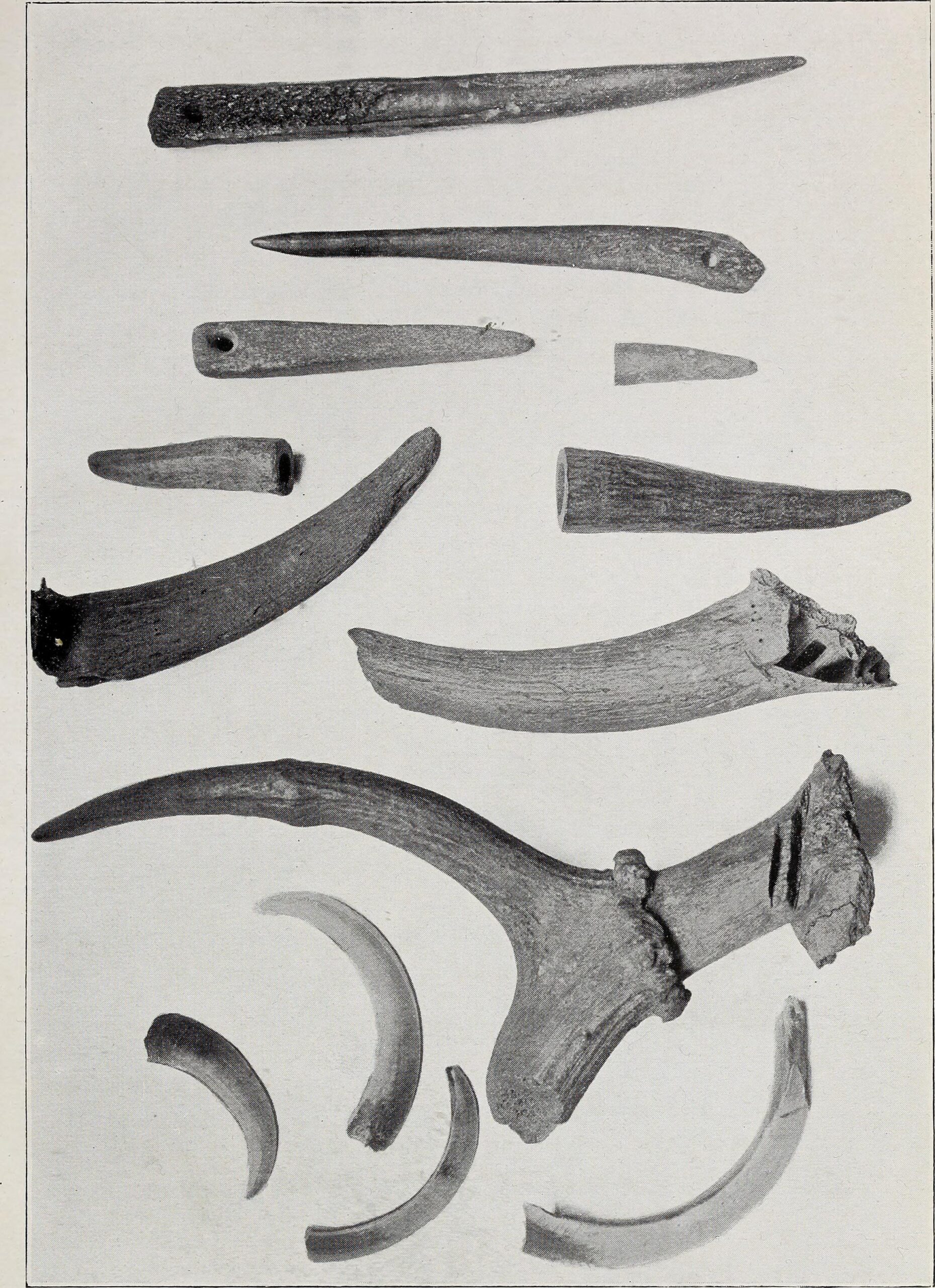 The Dinosaur Era's Rapid Rotation (image credits: wikimedia)