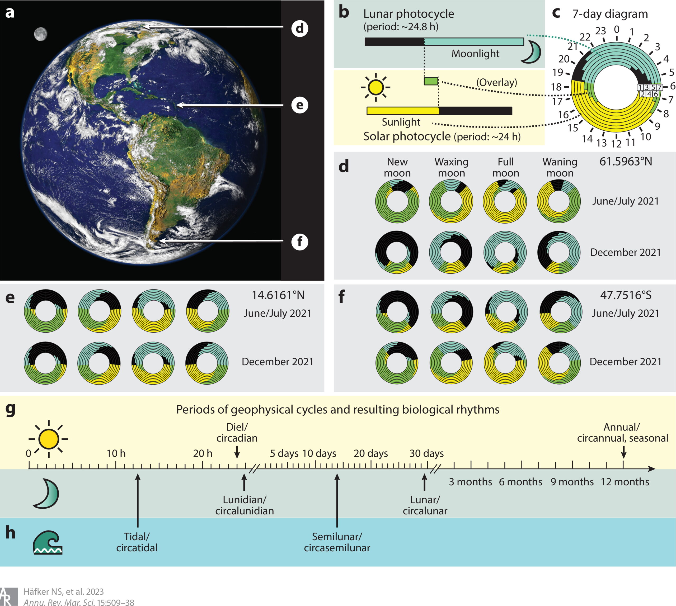 Solar Tides and Stellar Influence (image credits: wikimedia)
