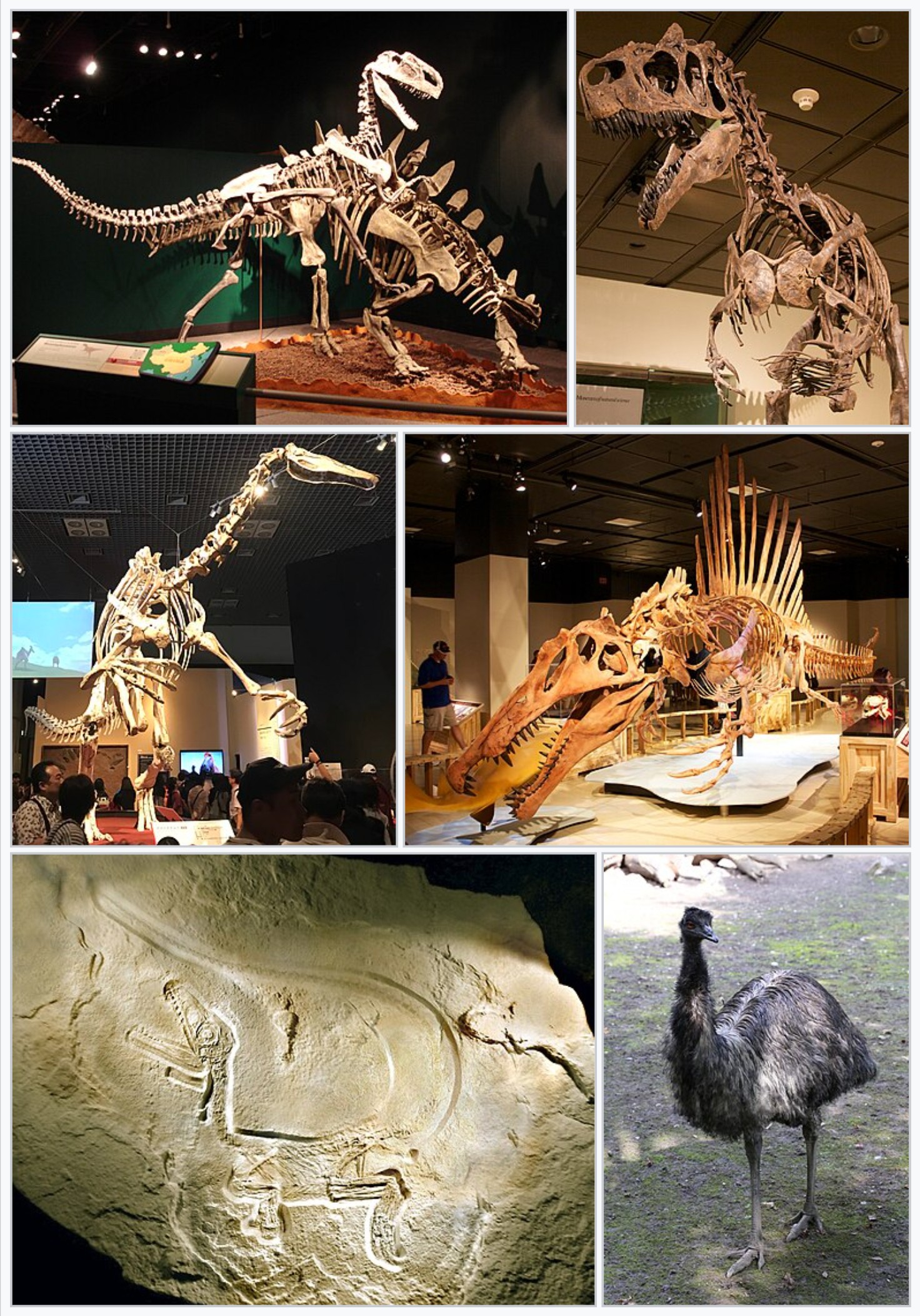 Wrestling Giants: Grappling Techniques (image credits: wikimedia)