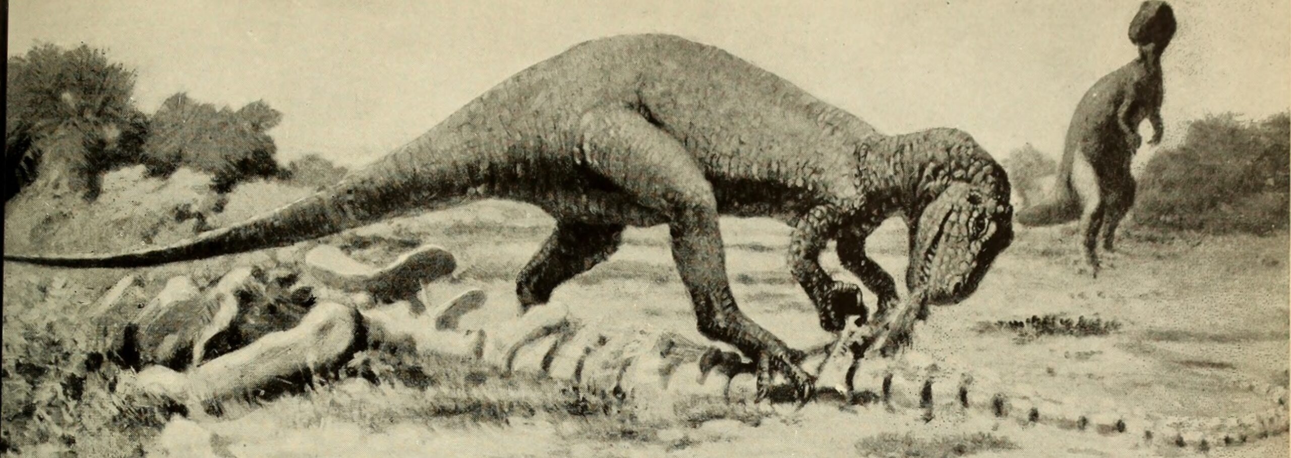 The Killing Bite: Precision and Power Combined (image credits: wikimedia)