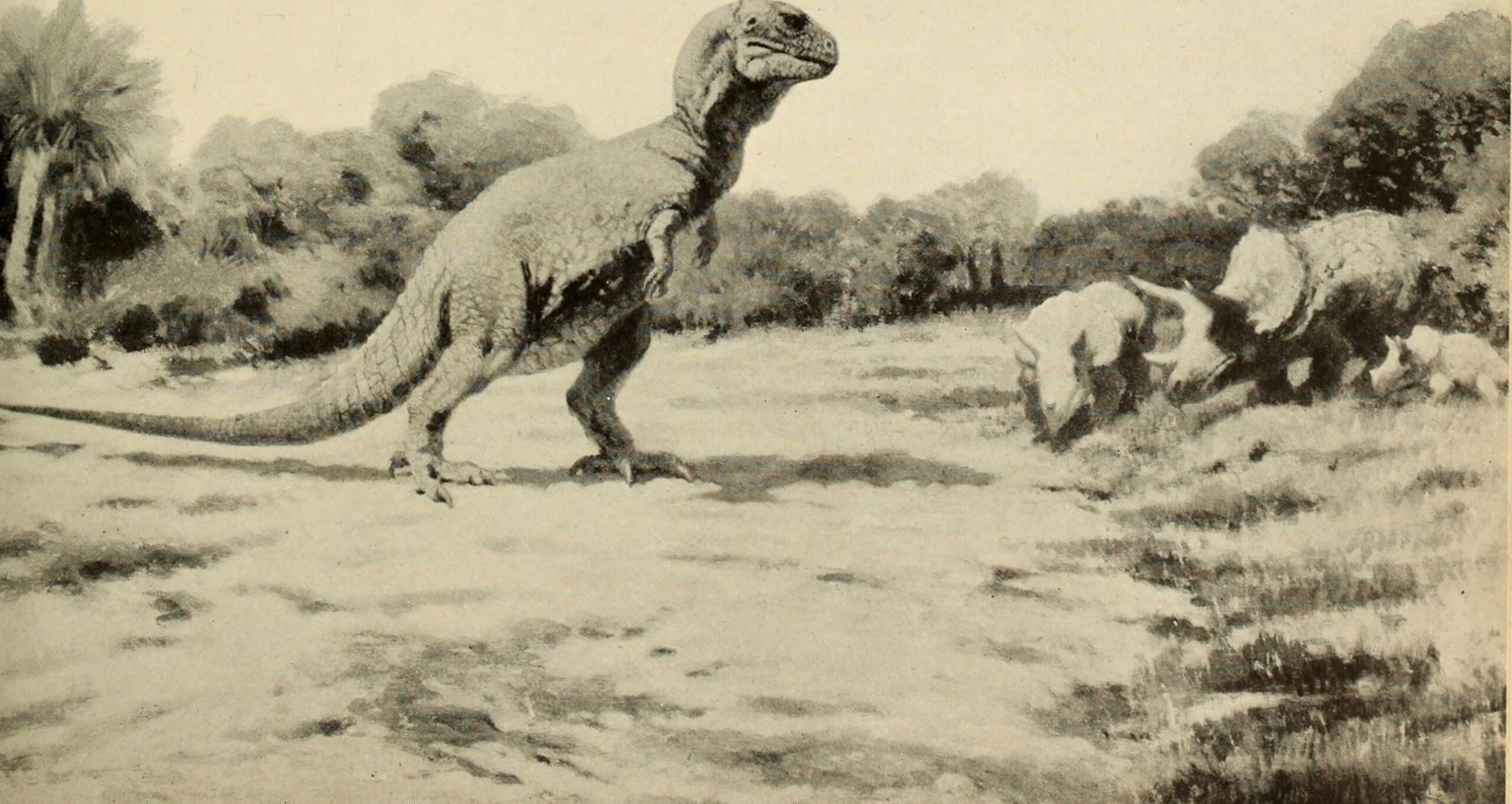 Hunting Massive Sauropods: The Ultimate Challenge (image credits: wikimedia)