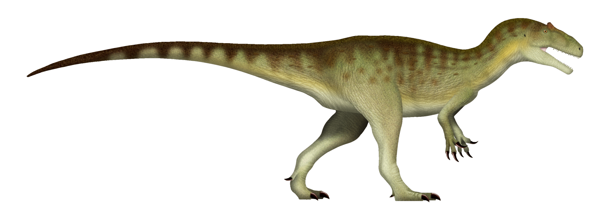 Learning from Failure: Adapting Hunting Strategies (image credits: wikimedia)