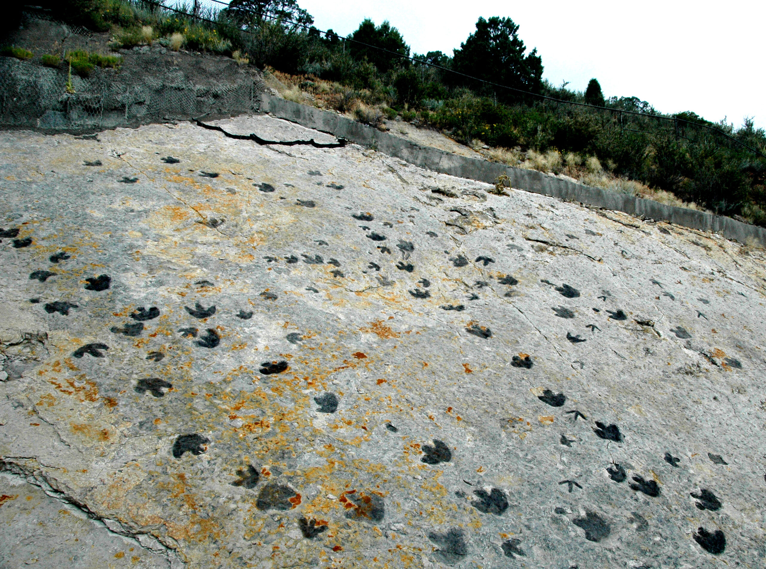 The Morrison Formation: Colorado's Fossil Treasure Trove (image credits: wikimedia)