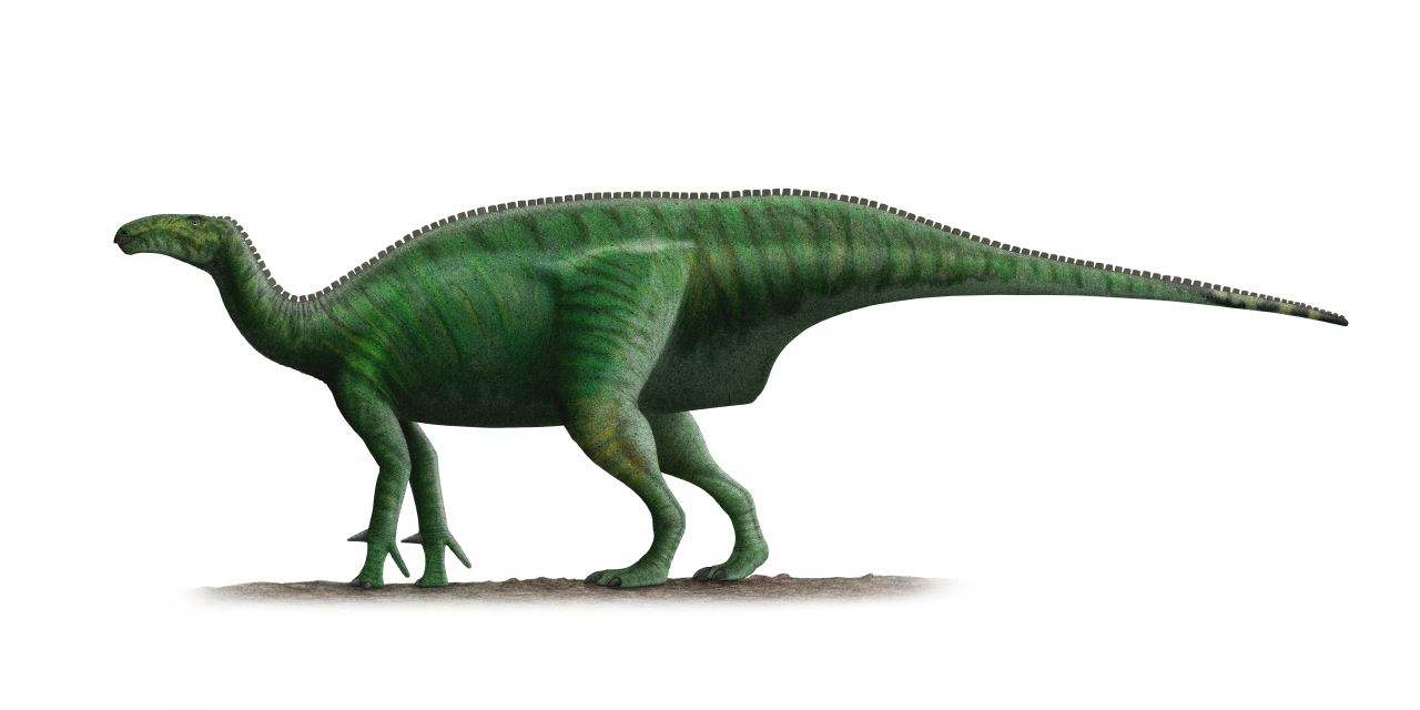 Beyond Dinosaurs: The Complete Ecosystem (image credits: wikimedia)