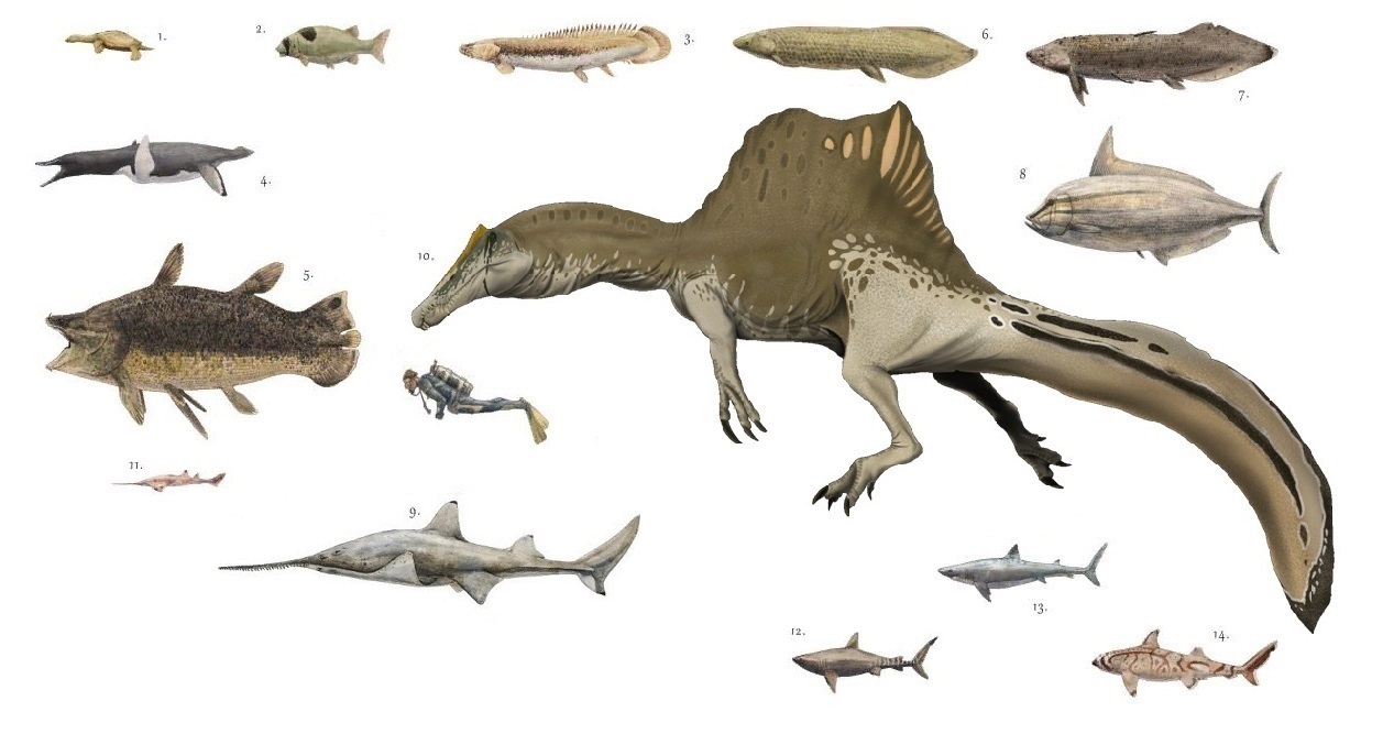Spinosaurus: The River Monster (image credits: wikimedia)