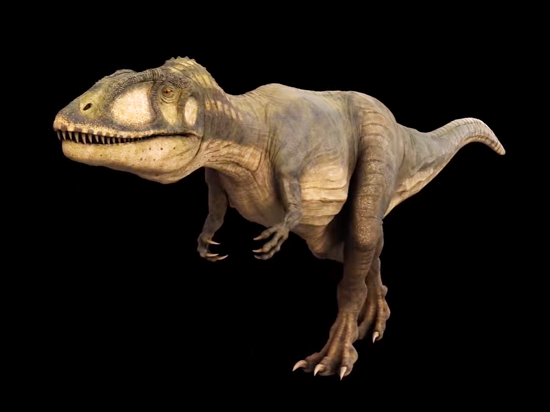 Carcharodontosaurus: The Shark-Toothed Giant (image credits: wikimedia)