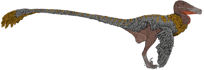Austroraptor: The Southern Giant (image credits: wikimedia)