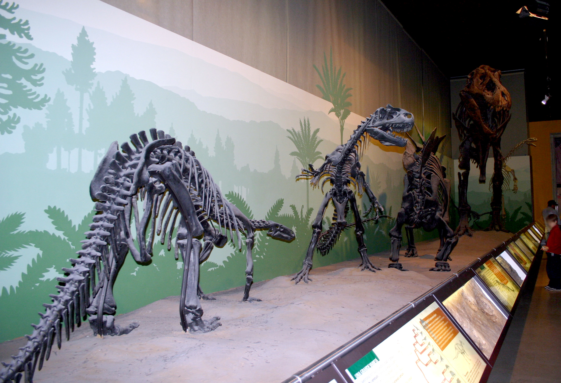 Allosaurus vs. Stegosaurus: The Jurassic Heavyweight Championship (image credits: By G.dallorto, Attribution, https://commons.wikimedia.org/w/index.php?curid=2084427)
