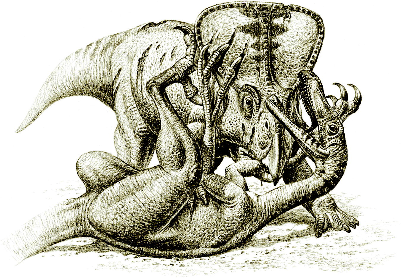 The Velociraptor and Protoceratops Death Embrace (image credits: wikimedia)