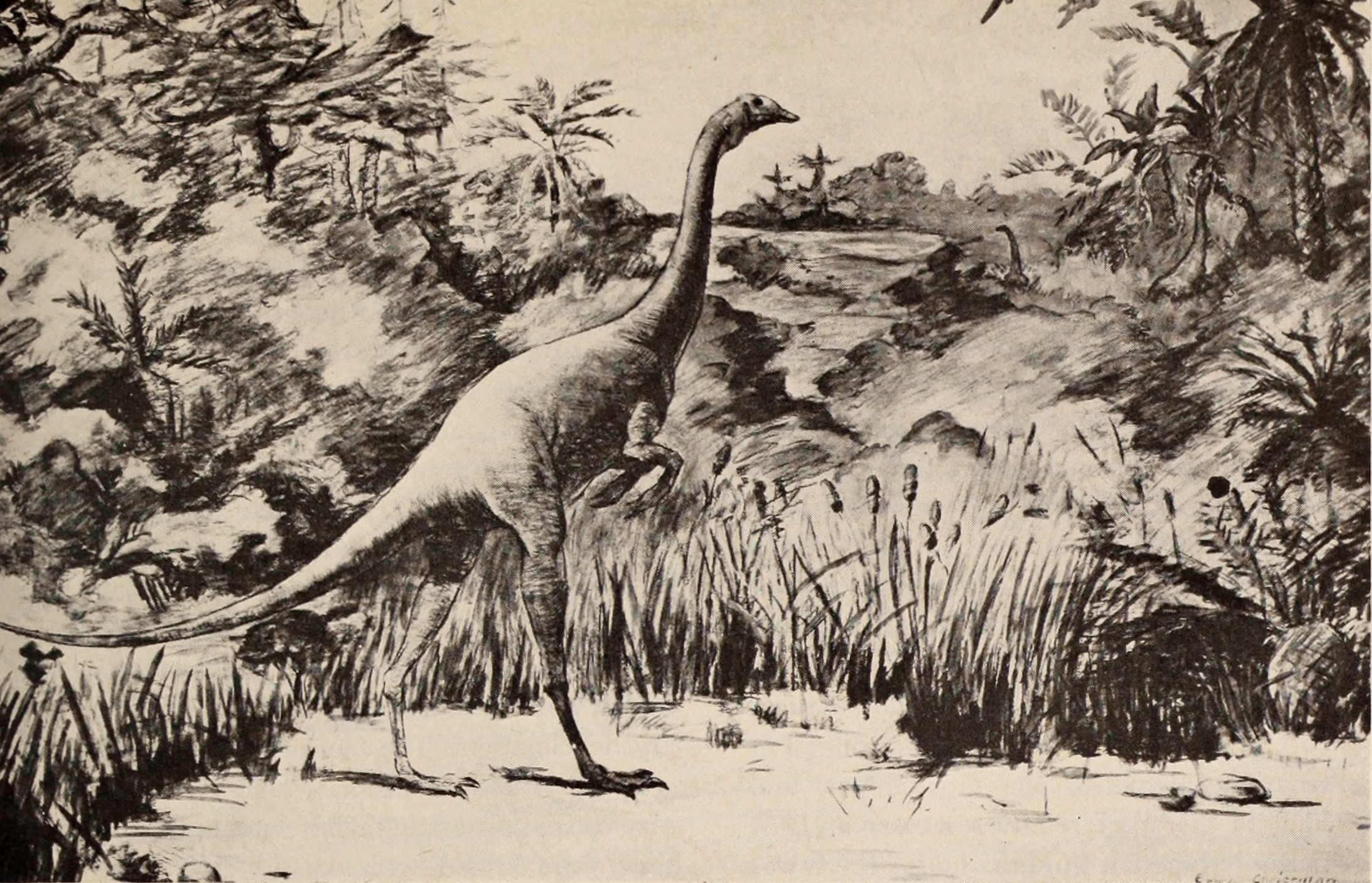 Environmental Factors in Dinosaur Conflicts (image credits: wikimedia)