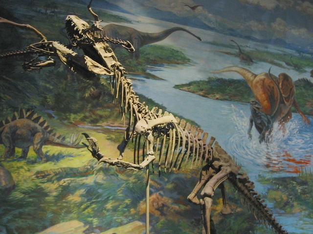 Yangchuanosaurus: Asia's Apex Hunter (image credits: wikimedia)