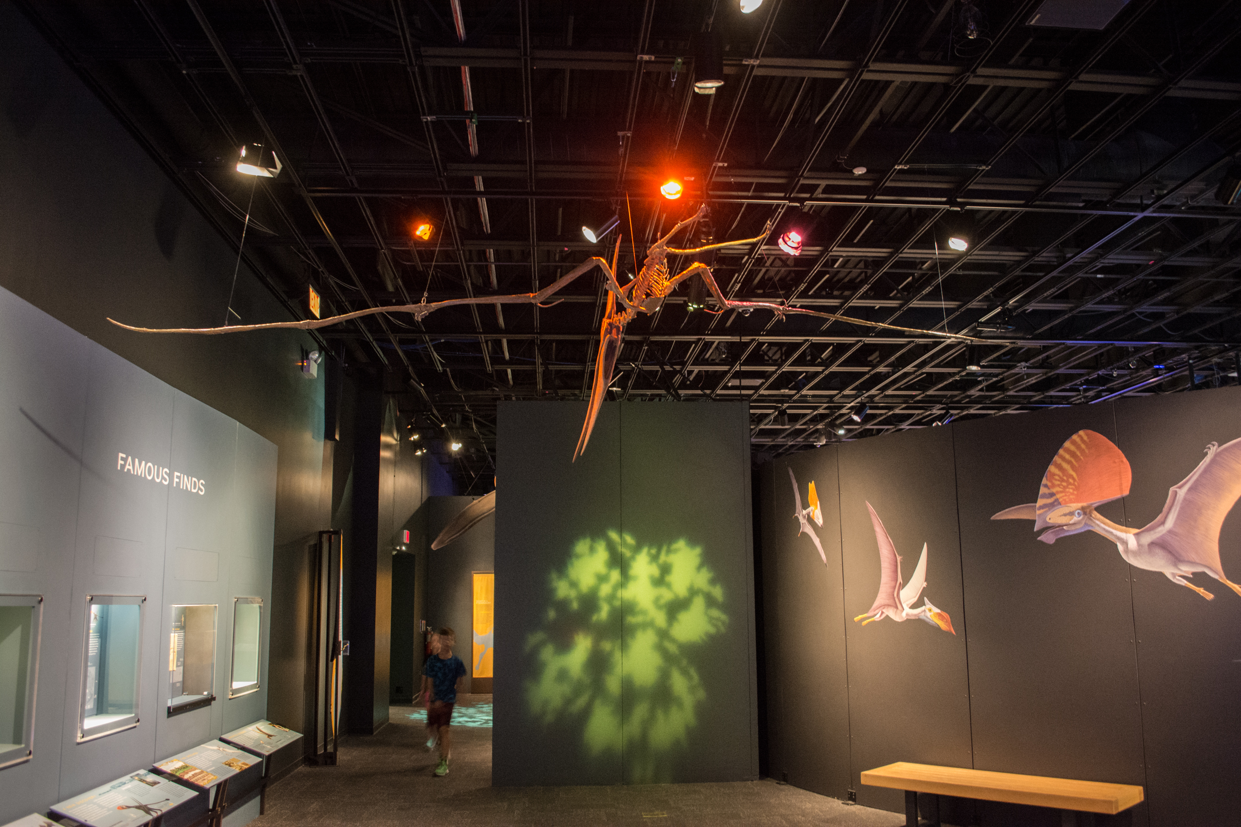 Pteranodon: Master of the Skies (image credits: wikimedia)