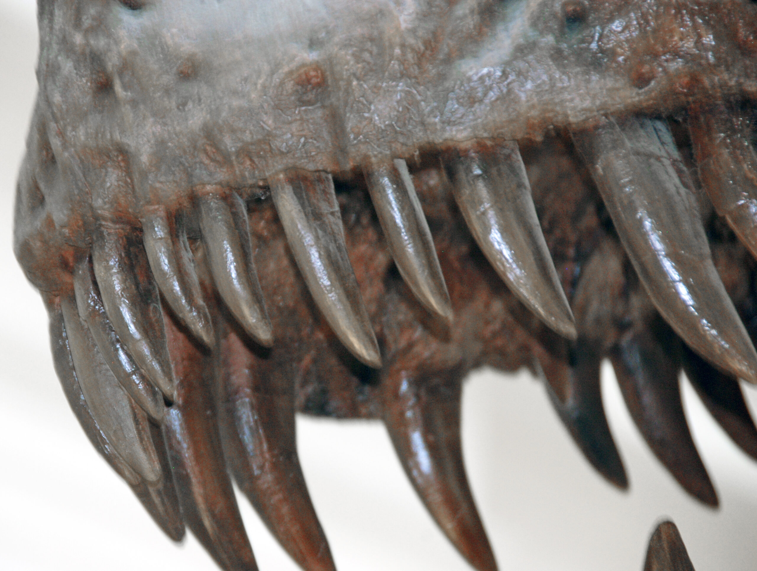 The Hollywood Myth vs. Scientific Reality (image credits: wikimedia)