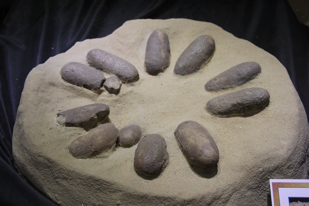 Eggs, Nests, and Parenting: Family Values Across Millennia (image credits: flickr)