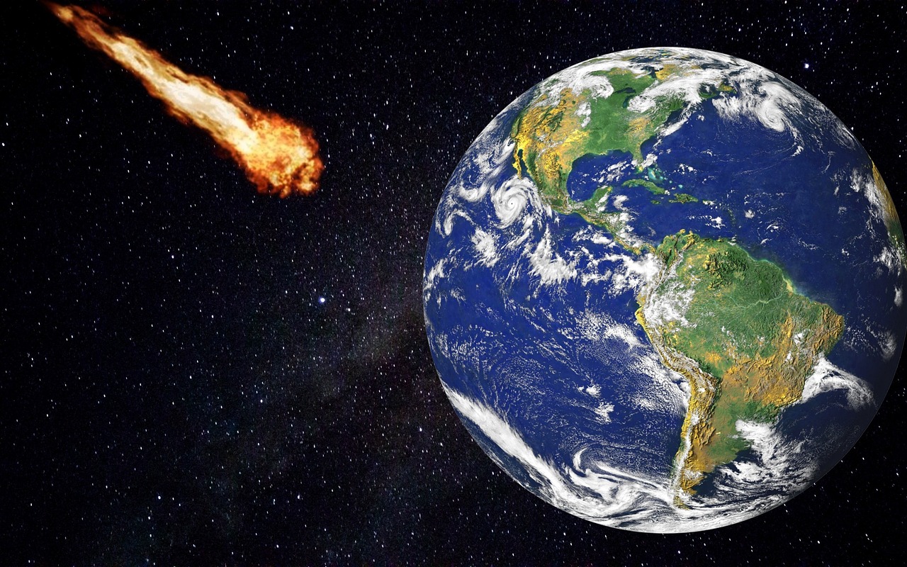 The Great Extinction: How Birds Survived the Apocalypse (image credits: pixabay)