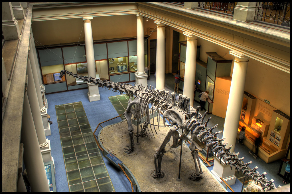 The Biomechanical Reality Check (image credits: flickr)