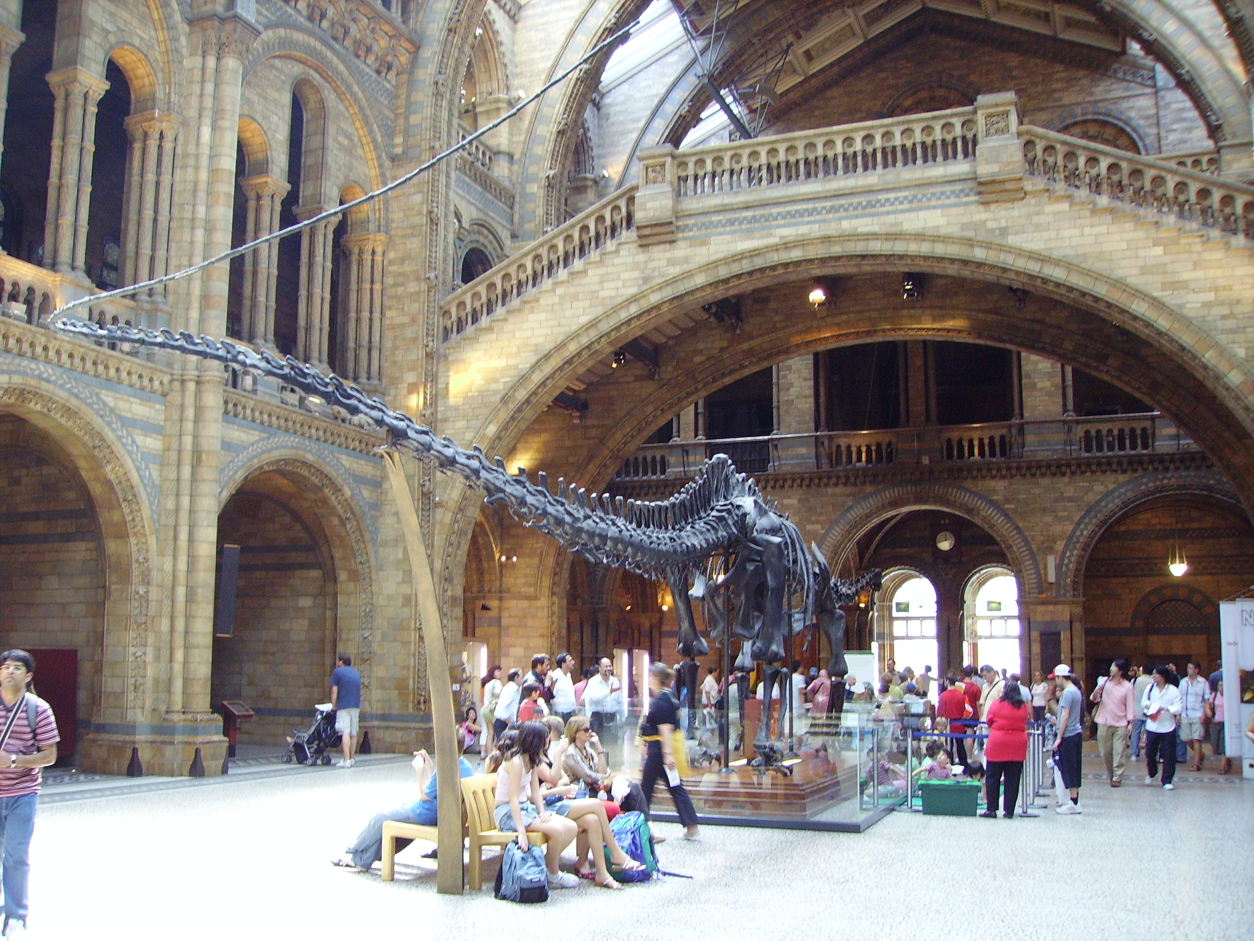 Alternative Theories About Tail Function (image credits: wikimedia)