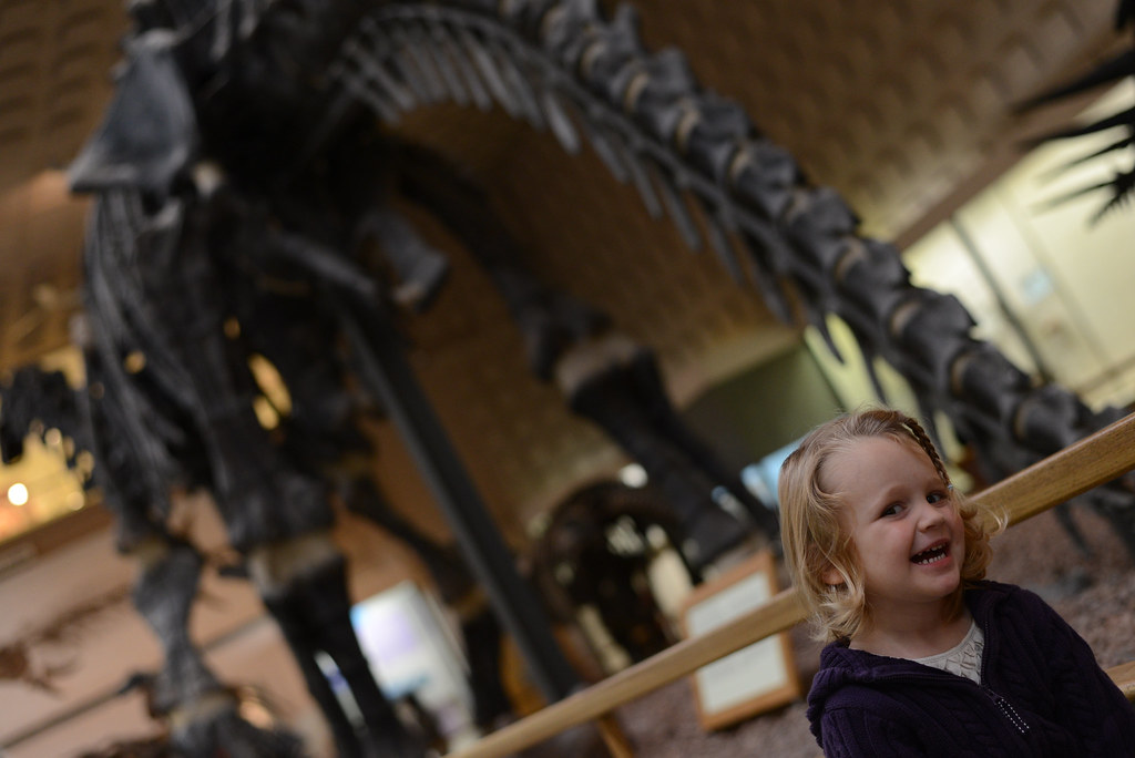 The Role of Tail Clubs in Other Dinosaurs (image credits: flickr)