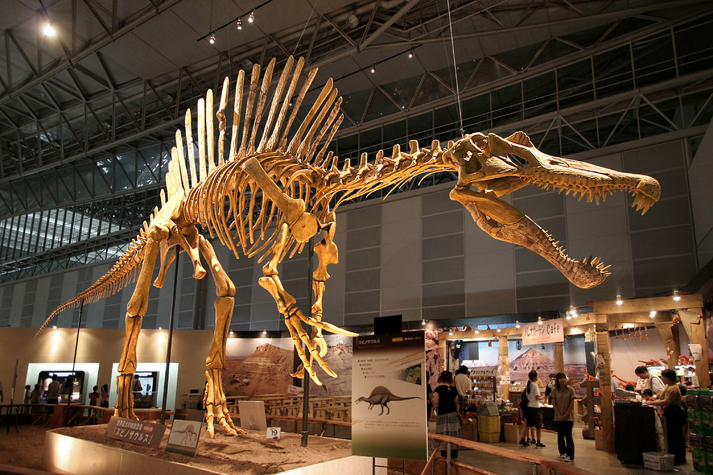 Size Matters: Comparing the Giants (image credits: flickr)