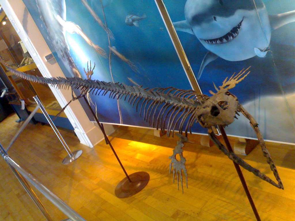 The Verdict: Ocean Supremacy (image credits: flickr)