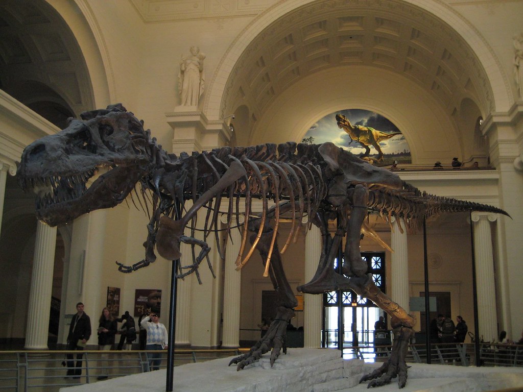 Gender Assumptions in Prehistoric Portrayals (image credits: flickr)