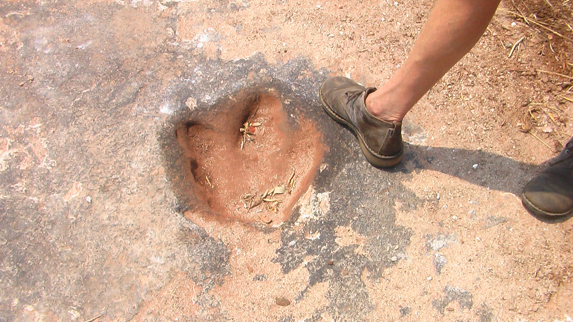 The Science Behind Fossilized Footprints (image credits: wikimedia)