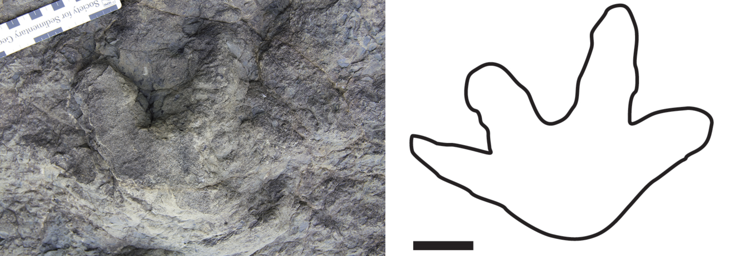 The Alaskan Dinosaur Menagerie (image credits: (2018).