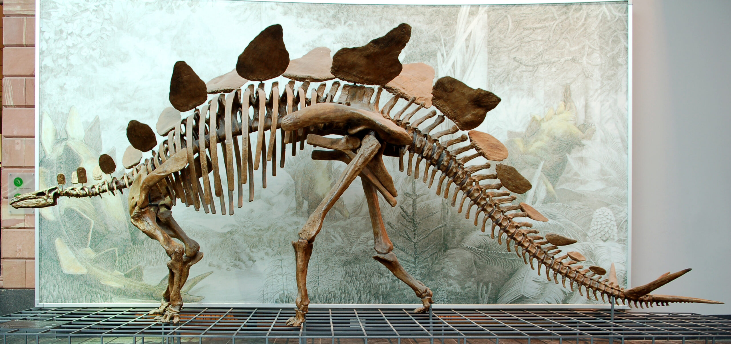 The Verdict: David vs. Goliath Revisited (image credits: Self-photographed, CC BY-SA 2.5, https://commons.wikimedia.org/w/index.php?curid=2686788)