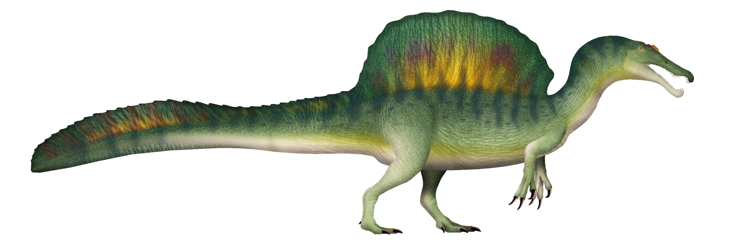 Metabolic Mysteries and Heat Management (image credits: wikimedia)