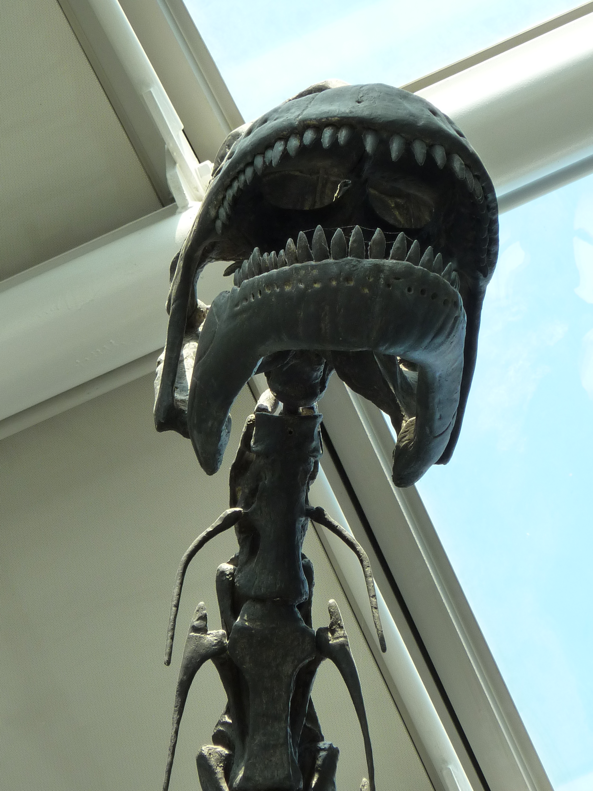 The Shocking Size Discovery That Changed Everything (image credits: wikimedia)