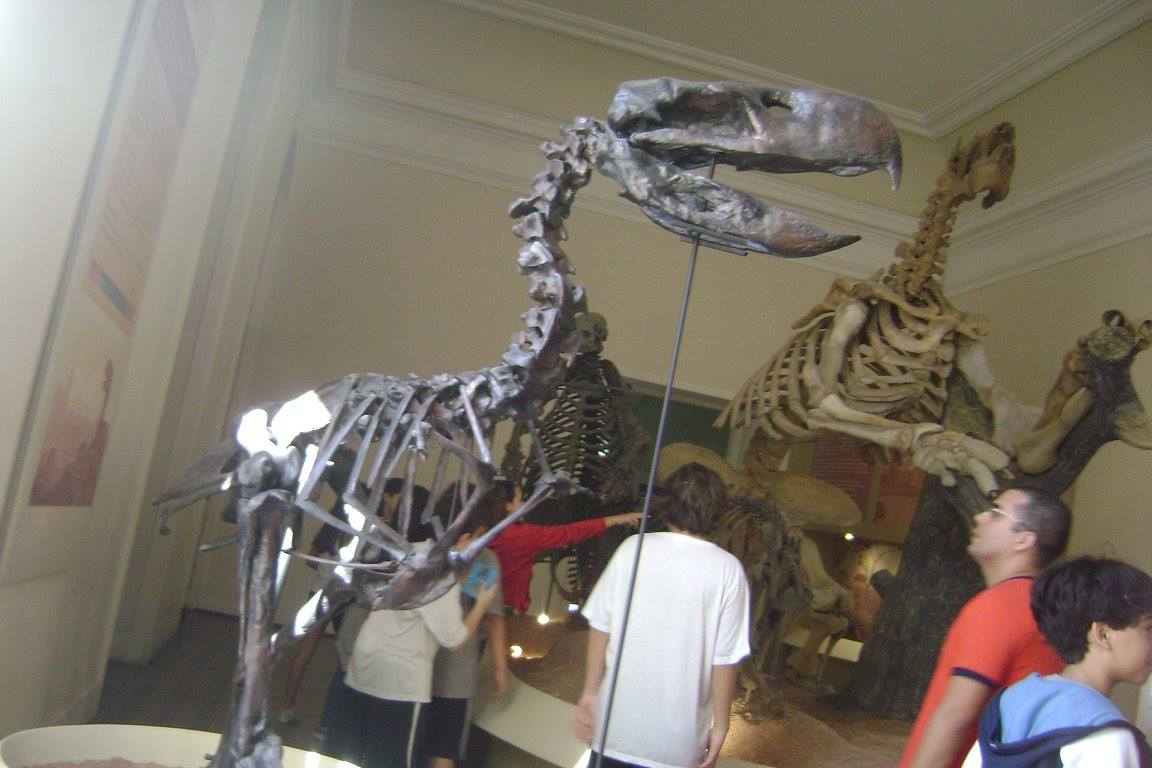 Critiques and Counterarguments (image credits: wikimedia)