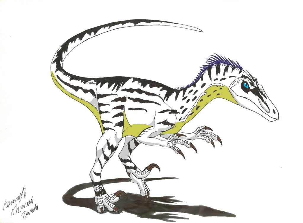 Velociraptor: Grounded Despite the Feathers (image credits: wikimedia)