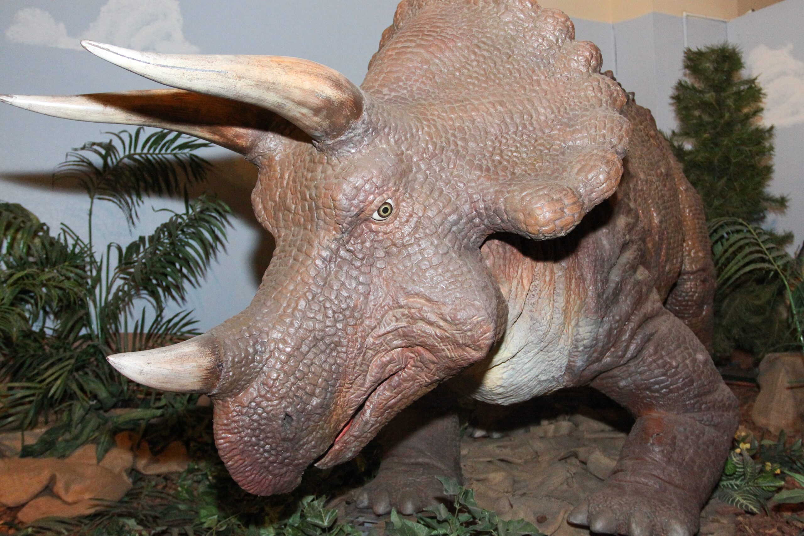 The Human Element in Prehistoric Conservation (image credits: wikimedia)